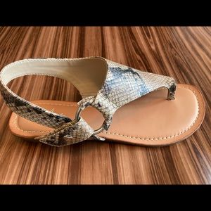Carlos by Carlos Santana snakeskin sandals